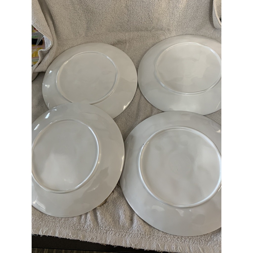4 Zak Designs Plates Original Wild Bird Toucan Parrot Melamine Vintage 11 Inch - Picture 6 of 6